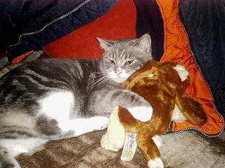 er und sein kuscheltier