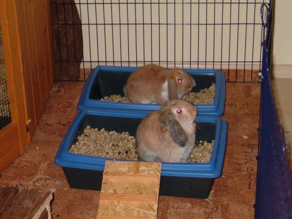 erleicherung zu zweit