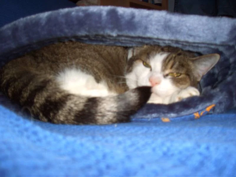 ey mann was guckst du?