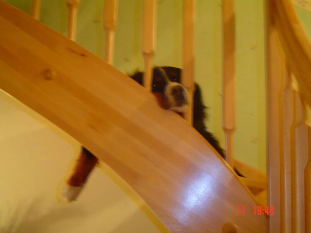 faulenzen auf den Stiegen