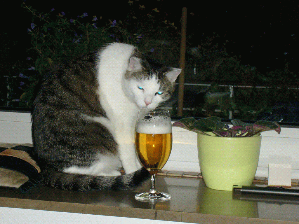 Feierabendbier gefällig?