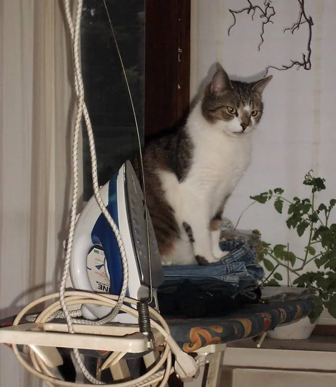 fertig mit der Bügelwäsche