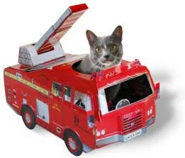 Feuerwehr-Katze.jpg
