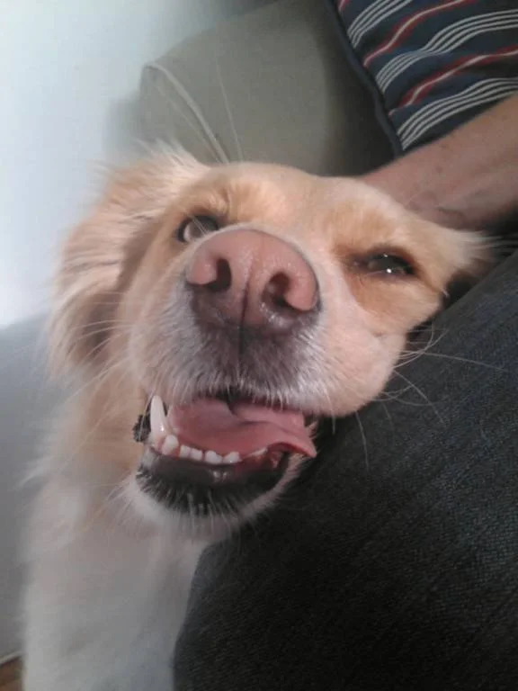 fix und fertig nach dem spielen