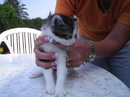 fotos daggi 004.jpg1.jpg