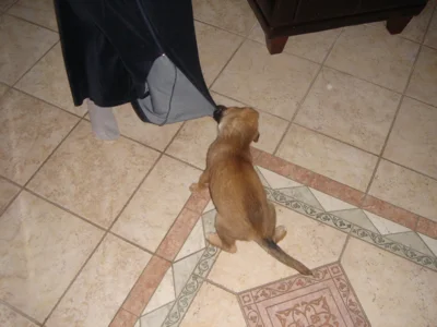 Fraulis Morgenmantel is soooooo super zum spielen!