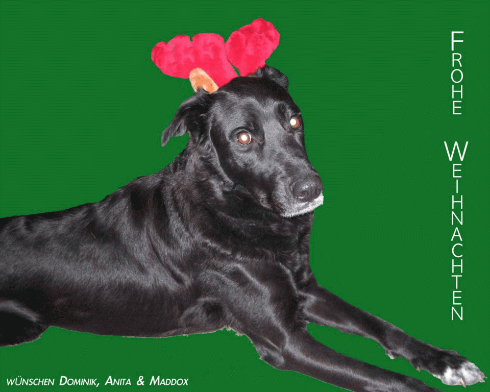 Fröhliche Weihnachten