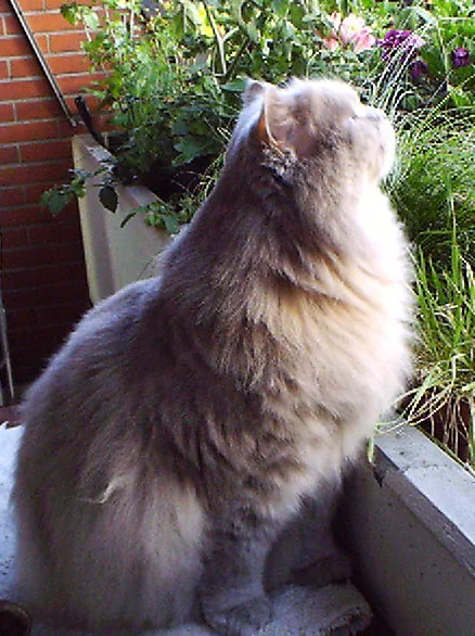 Geruch der Freiheit....