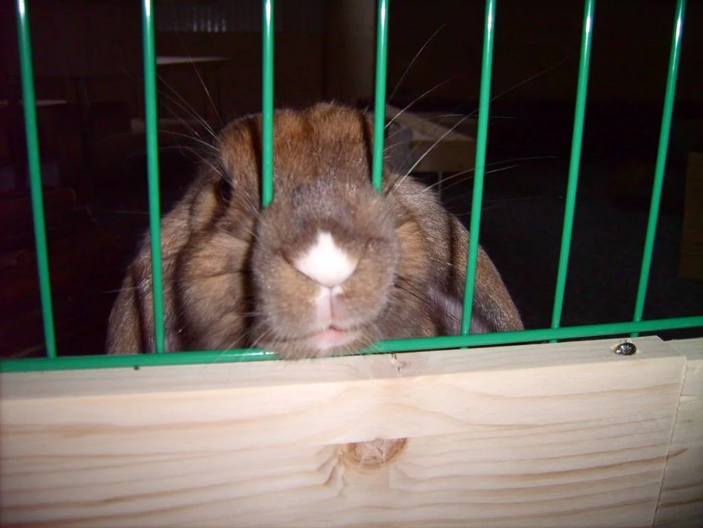 Gib mir entlich was, ich hab hunger...