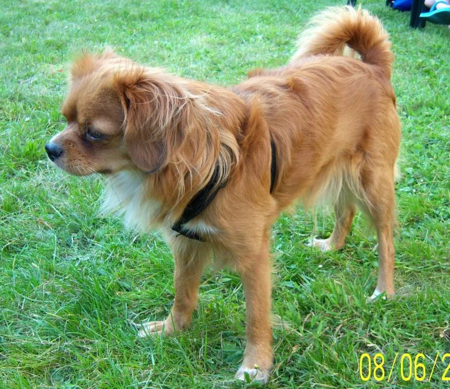 Gibt es nicht,s zum Spielen?