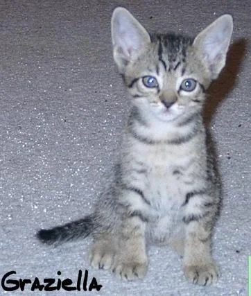 Graziella als Baby