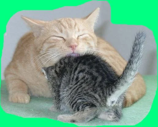 Graziella mit Papa Kronos