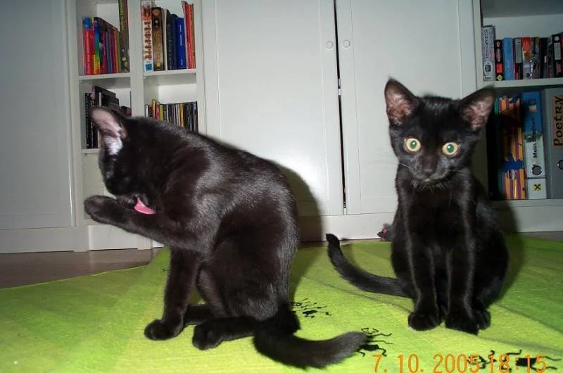 Große kleine Mäuse ;)