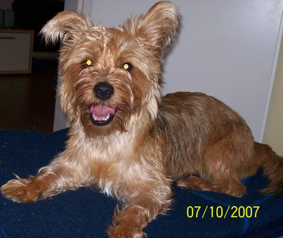 Hahaha Elly nach dem Baden ;)