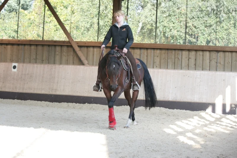 hasna stall 138.2.jpg