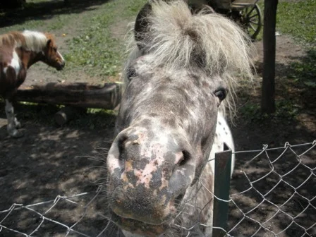 Hast du mir etwas mitgebracht?