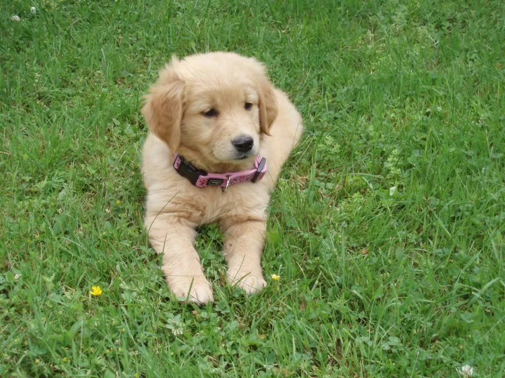 Hier bin ich genau 8 Wochen