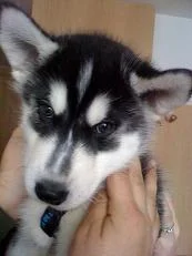 Hier unser neues Familienmitglied