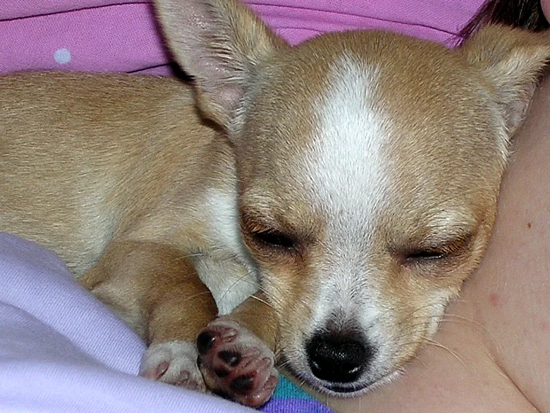 hmmmm ein gemüdliches Plätzchen