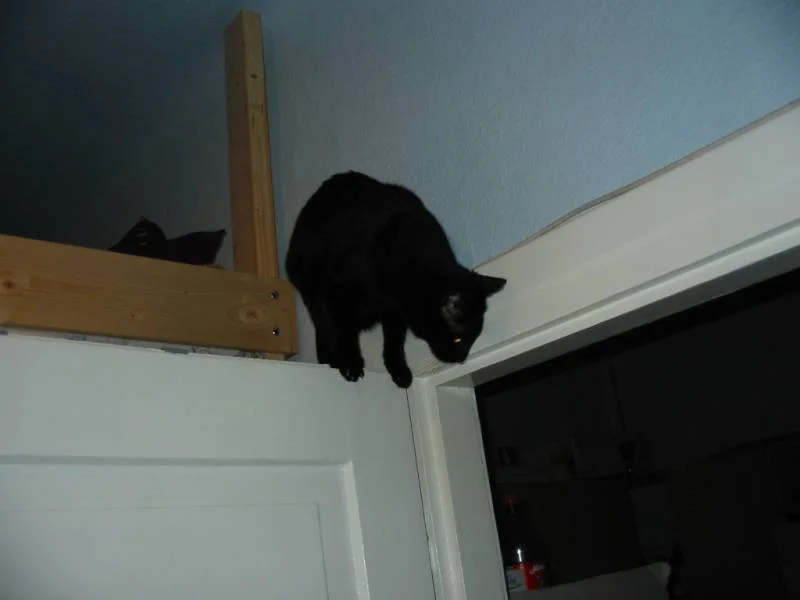 hoch oben komm ich her ...