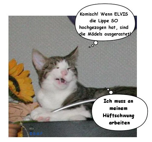 Horst als Elvis
