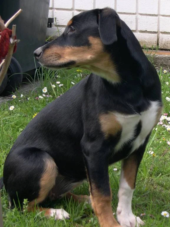 Ich bin ja schon soooo groß!