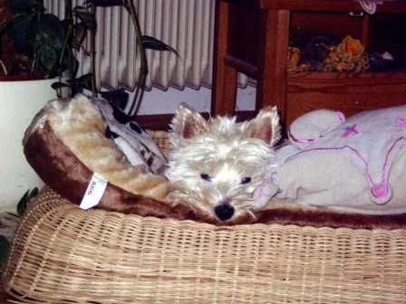 Ich bin sooo müde !!