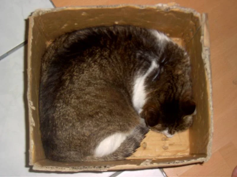 ich mach mich klein dann pass ich rein !!!!