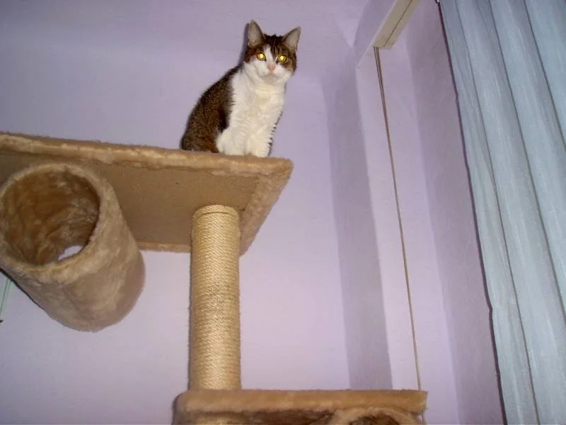 ICH will hoch hinaus