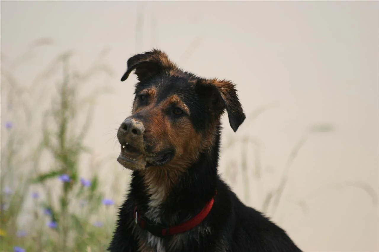 IMG_2536 (Custom).jpg