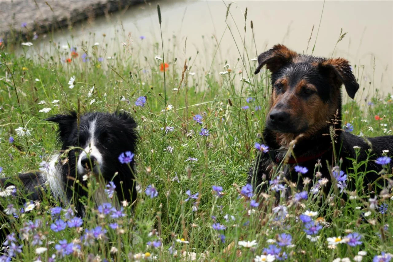 IMG_2547_1 (Custom).jpg