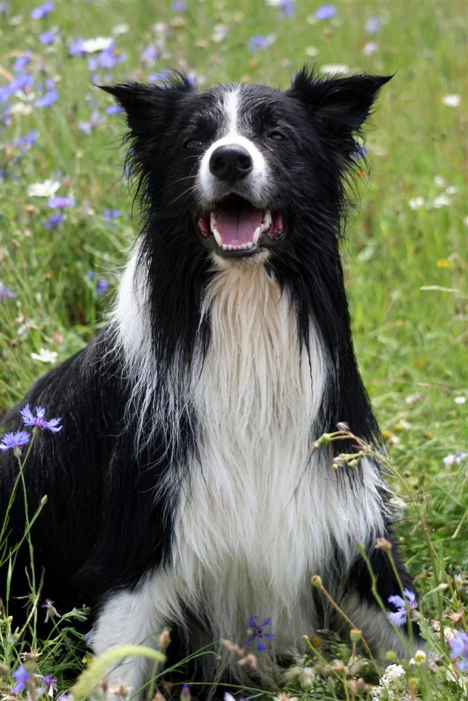 IMG_2552_1 (Custom).jpg