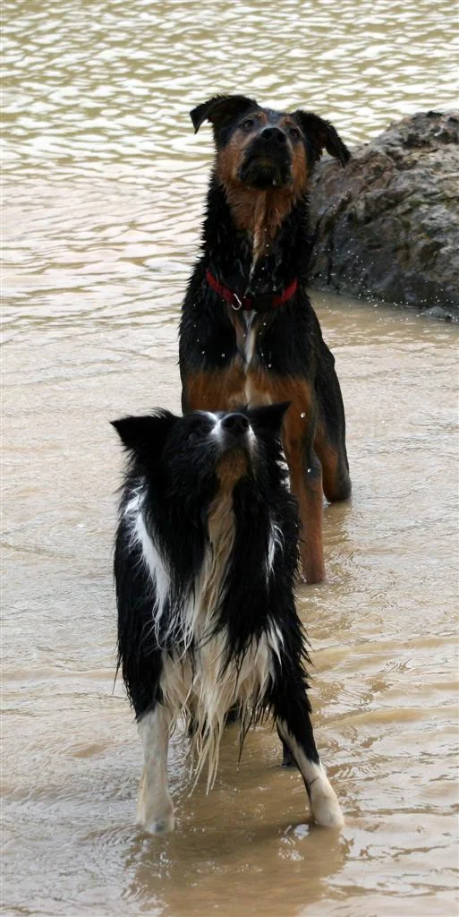 IMG_2832_1 (Custom).jpg