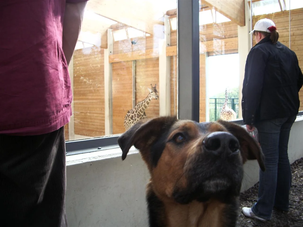 IMGP6716 (Custom).jpg