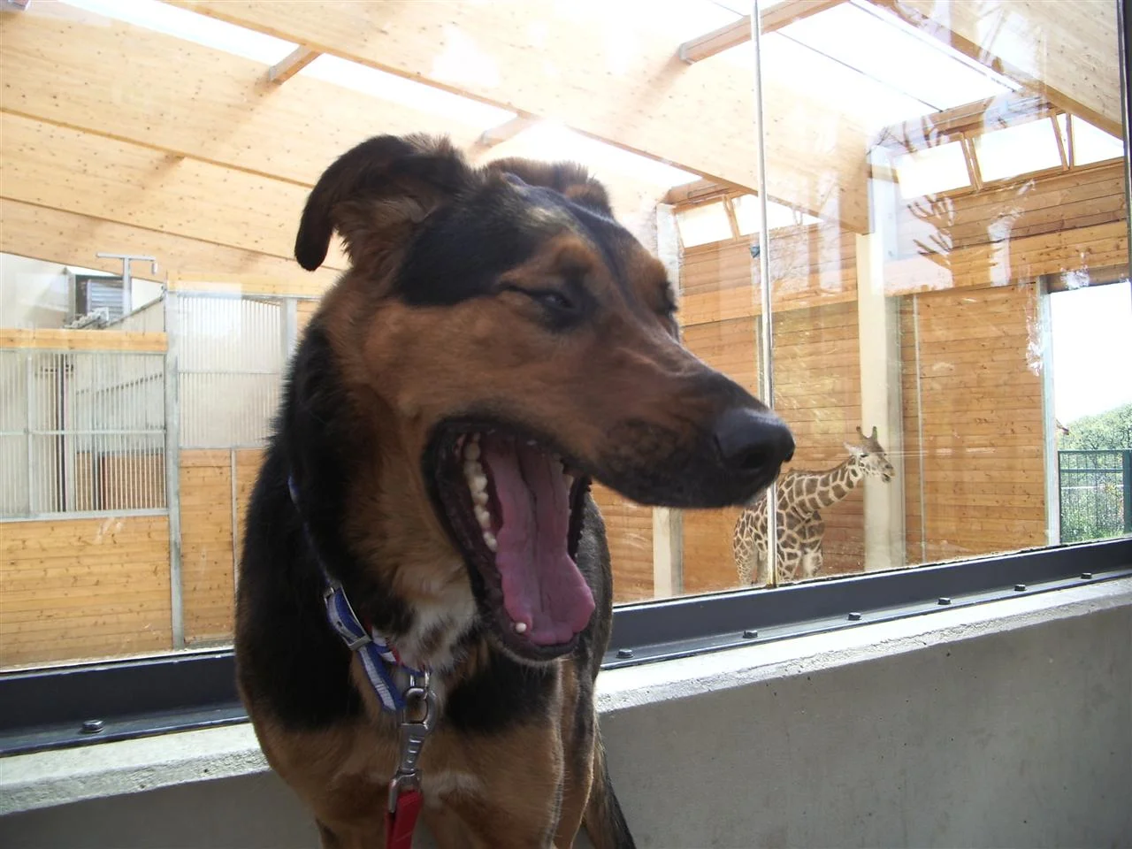 IMGP6721 (Custom).jpg