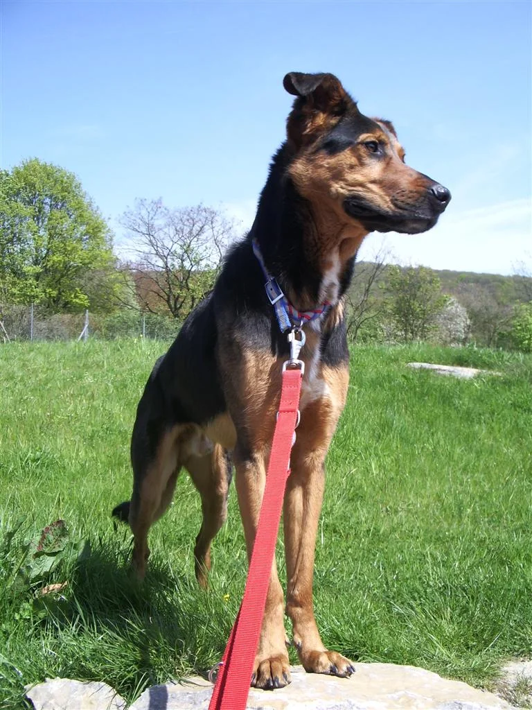 IMGP6729 (Custom).jpg