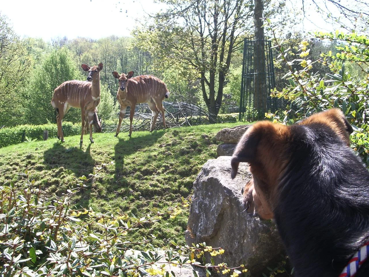 IMGP6738 (Custom).jpg