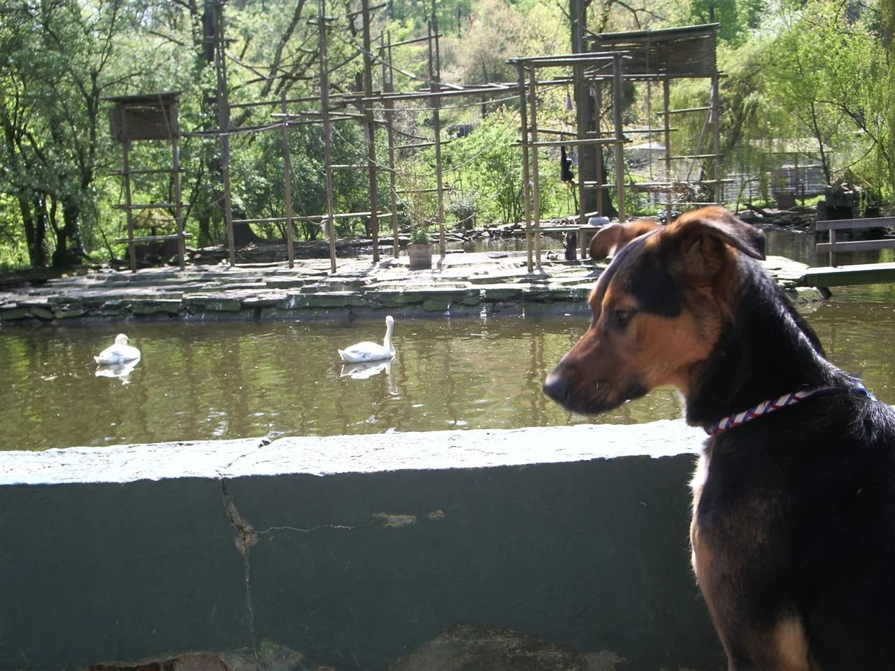 IMGP6790 (Custom).jpg