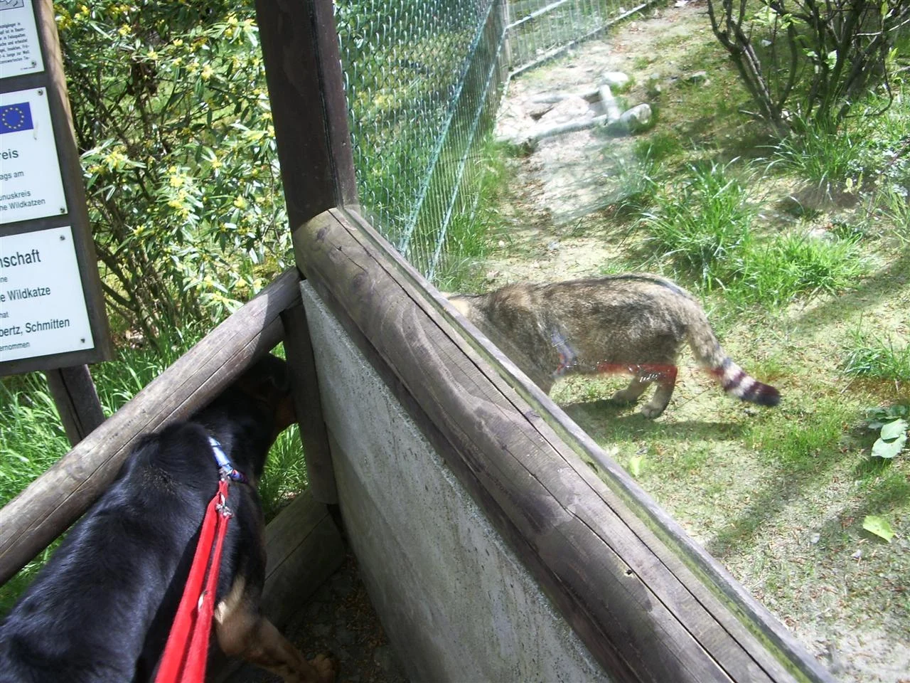 IMGP6852 (Custom).jpg