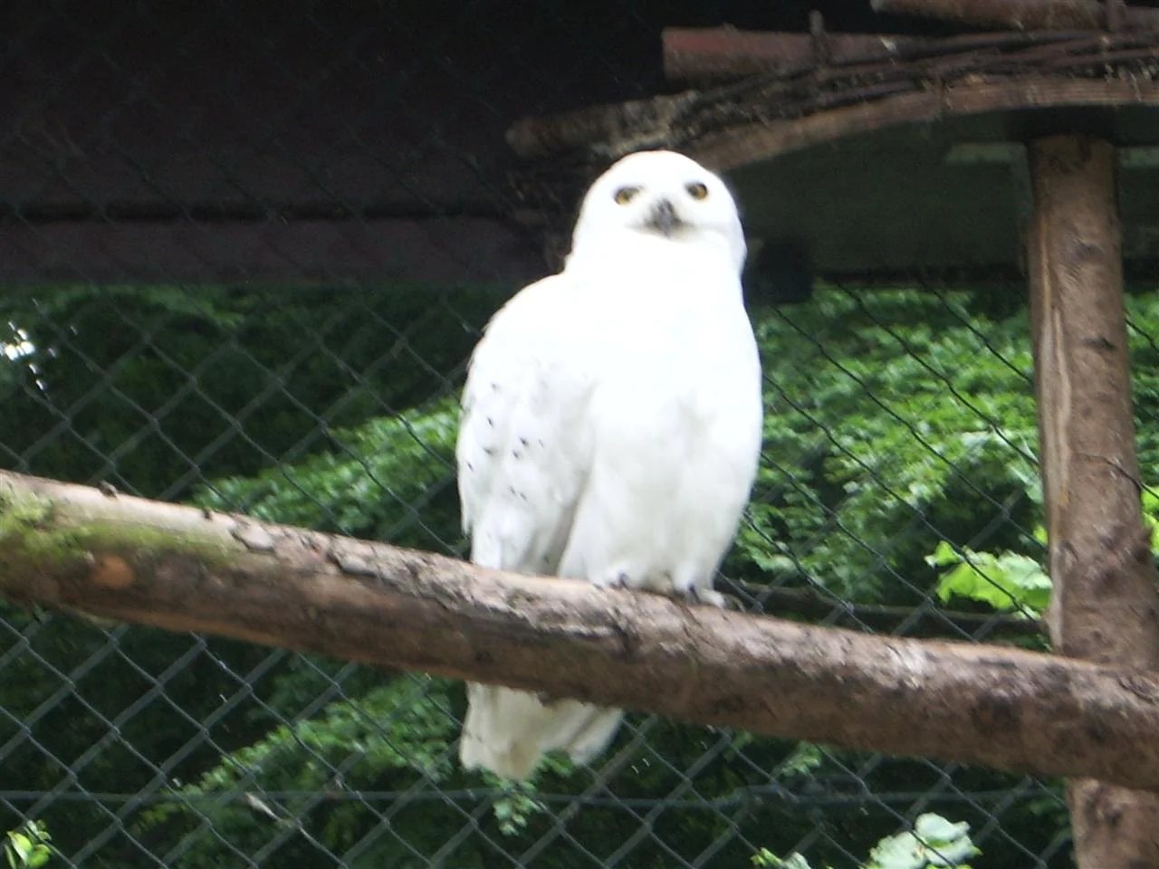 IMGP7972 (Custom).jpg