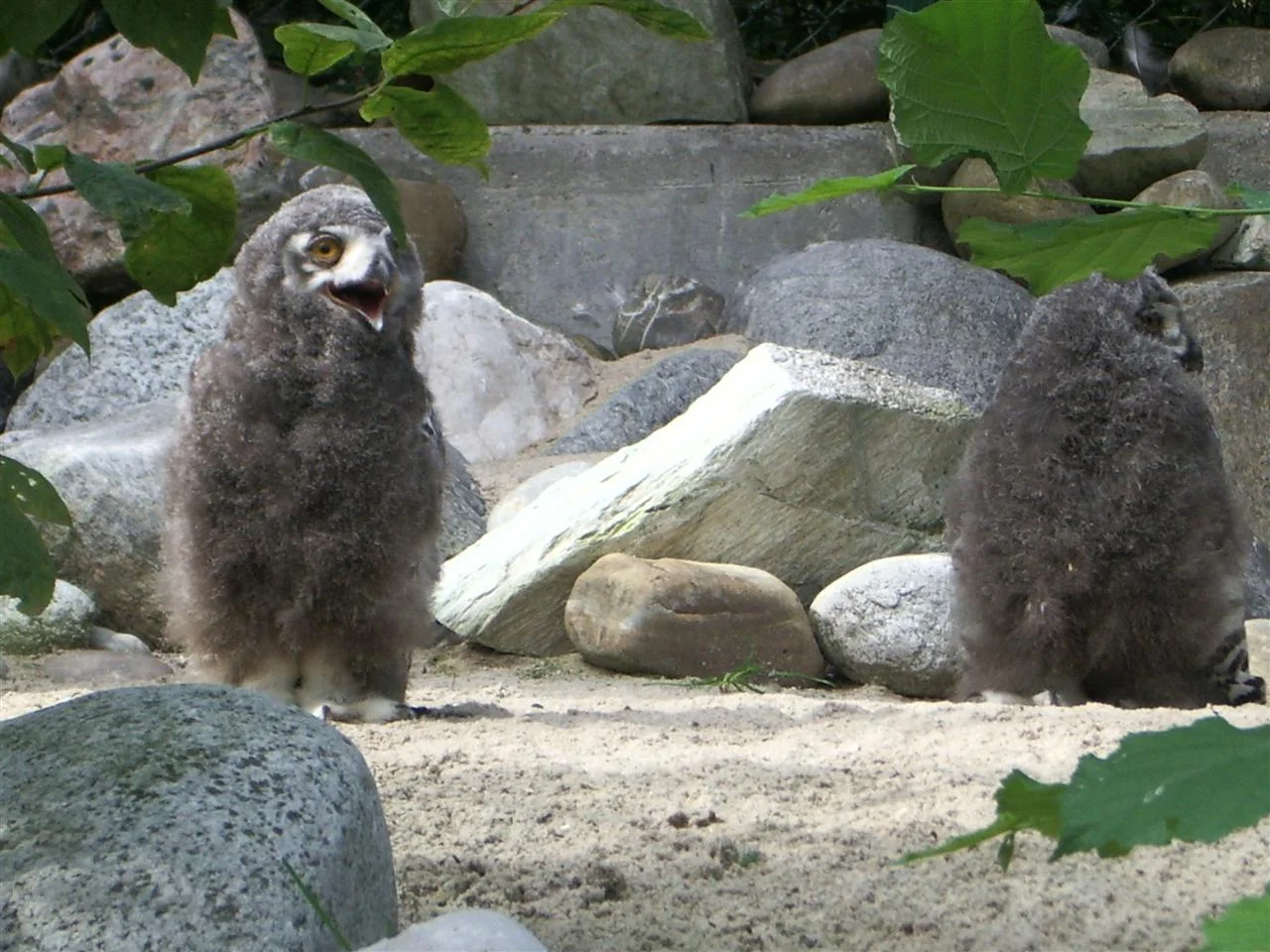 IMGP8240 (Custom).jpg