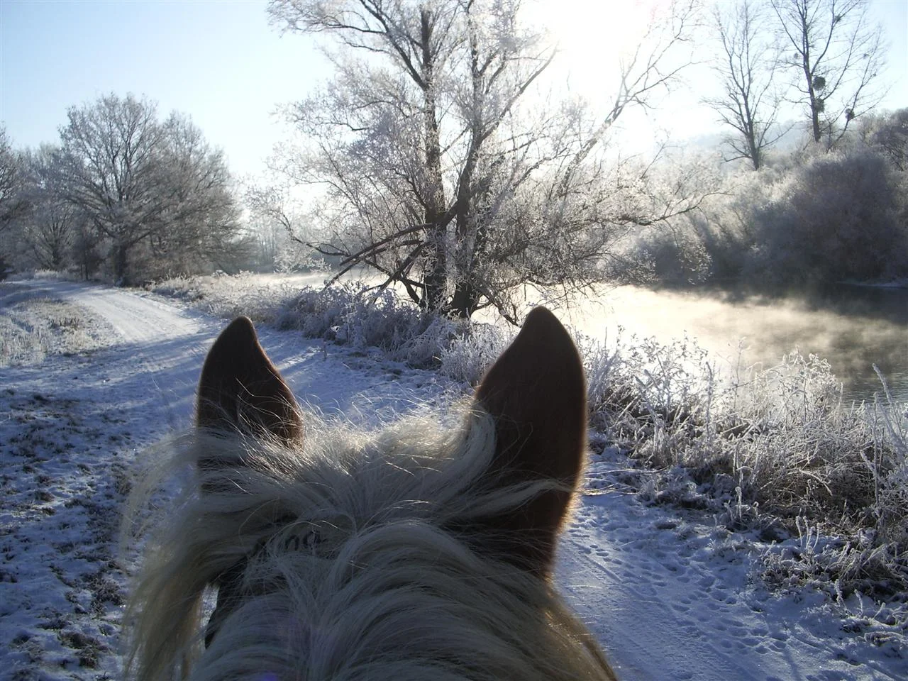 IMGP9481 (Custom).jpg