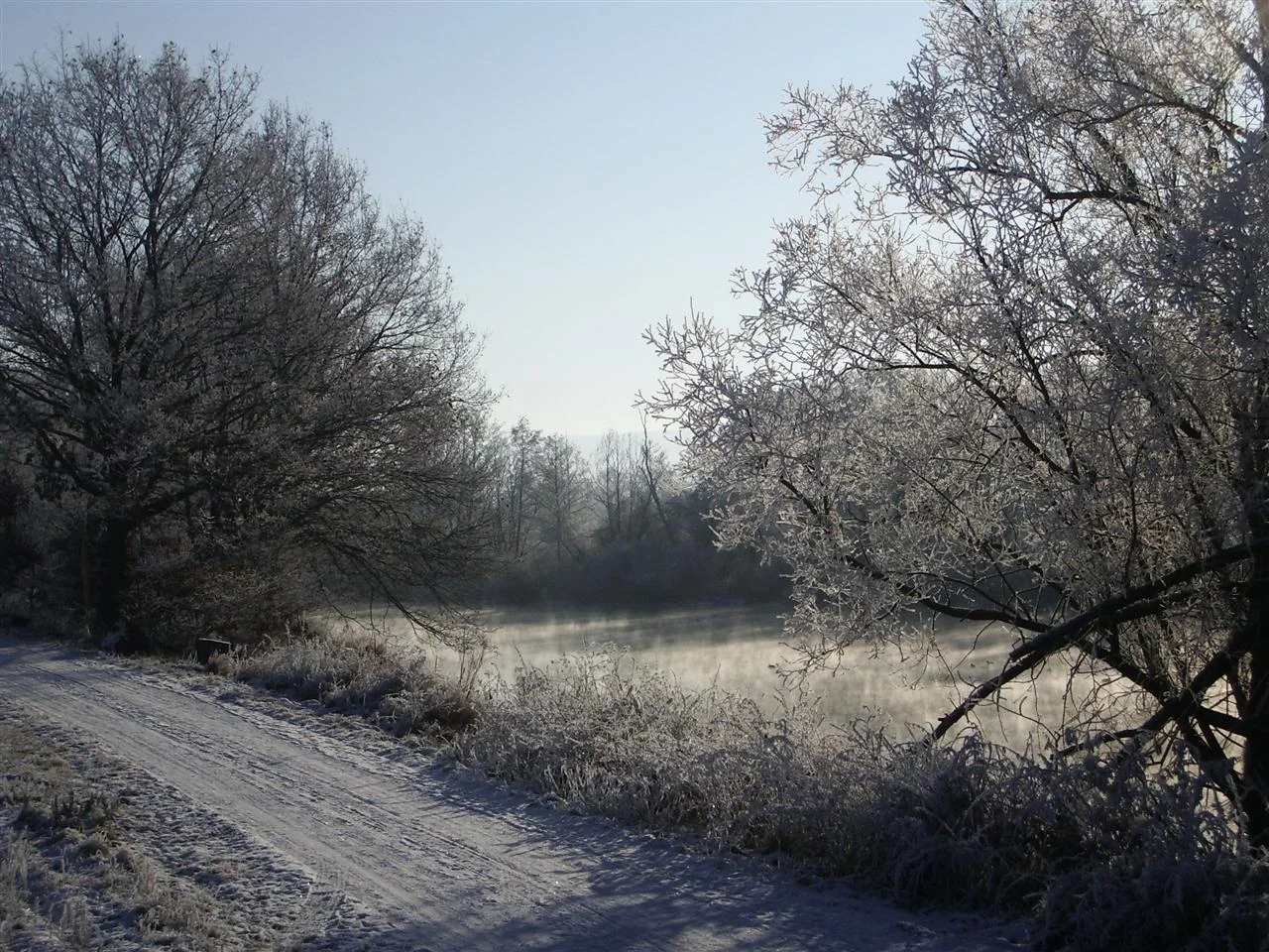 IMGP9484 (Custom).jpg