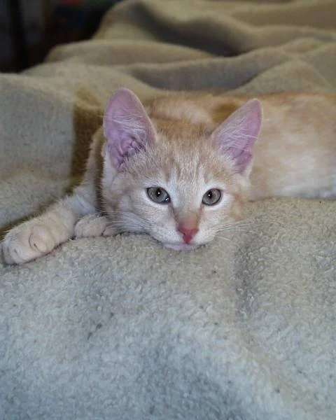 ...immer werde ich fotografiert.....