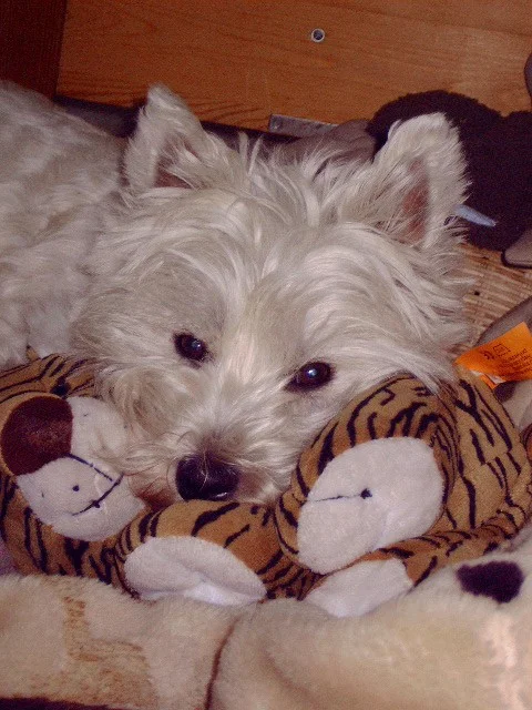 Ist das langweilig hier ..........