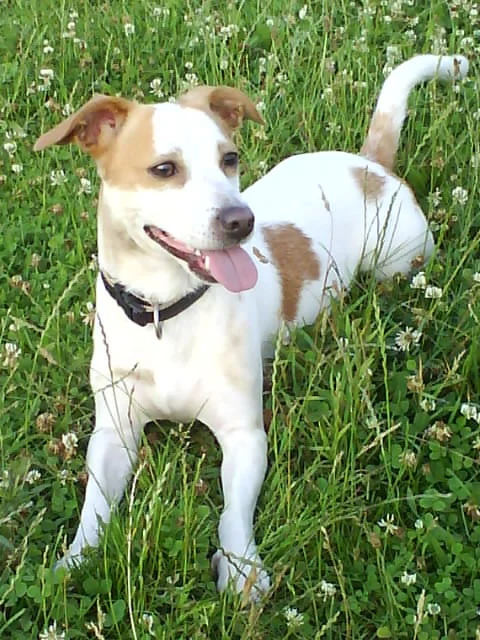 ist er nicht zum  anbeißen ^^