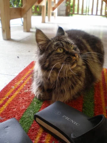 ja nicht frauli's schlapfen betatschen....