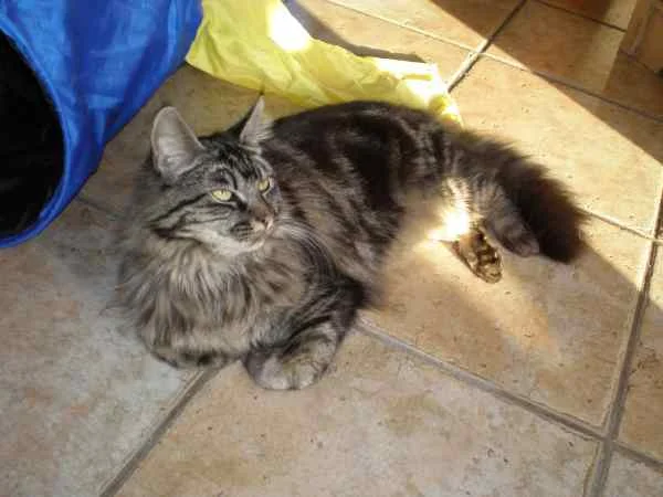 James Lässig lässt grüßen