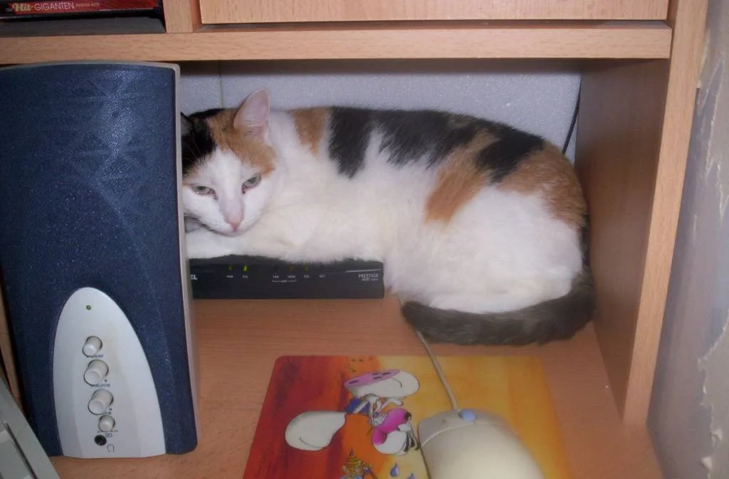 Jerry auf meinem Modem ...