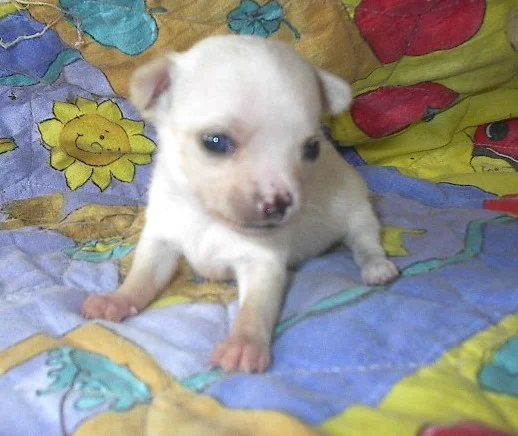 Jugend-Photo**gggggg**